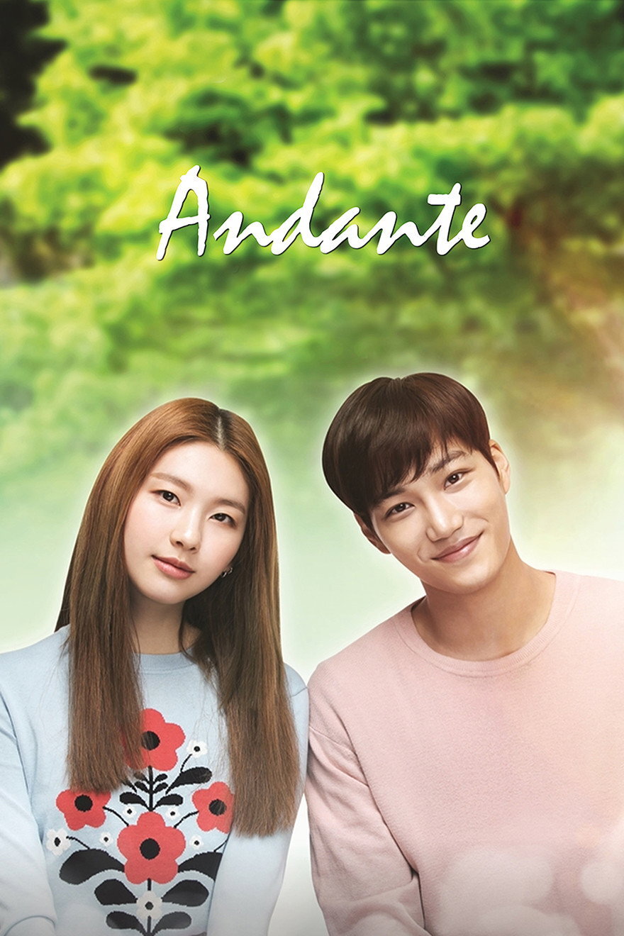 Andante海报